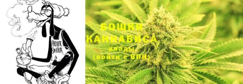 купить наркоту  Новопавловск  Бошки Шишки Bruce Banner 